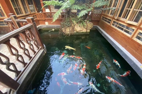 藍湖郡|私人別墅中住出未來感,遇上更懂你的家! 藍湖郡|私人別墅中住出未來感,遇上更懂你的家!